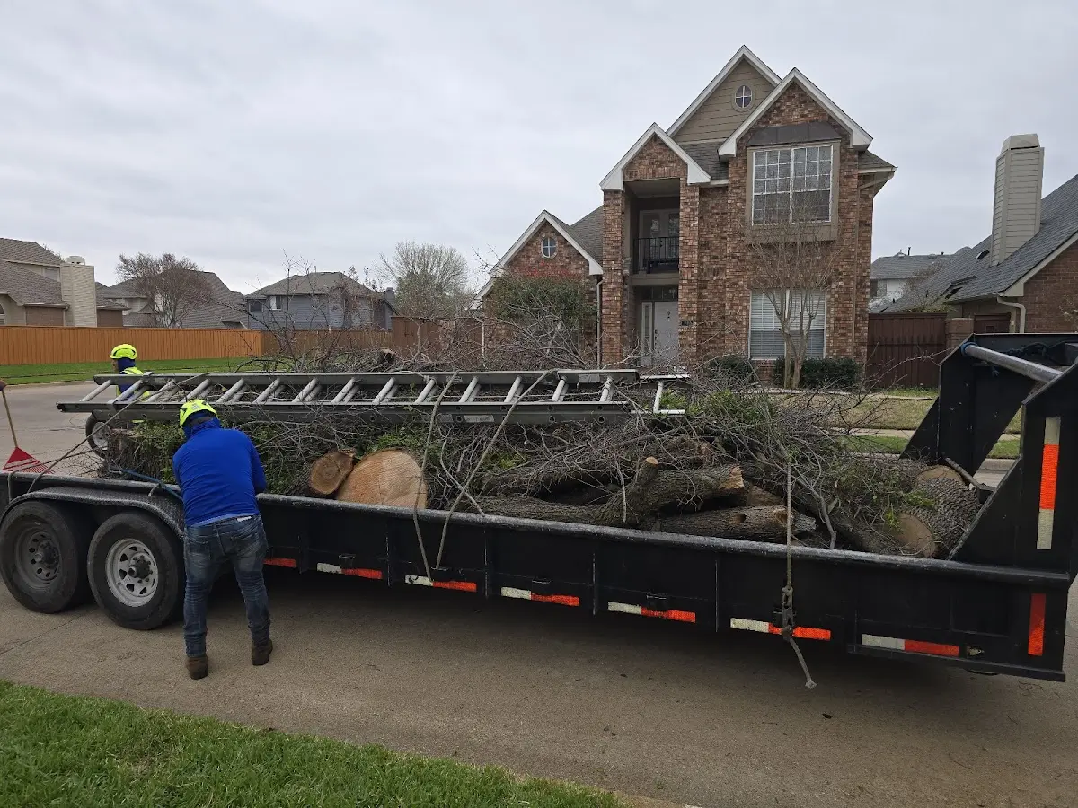 Expert Tree Removal with proper safety equipment in Decorah